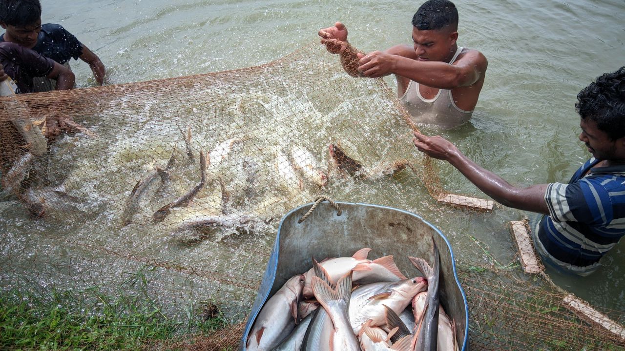 Over 15,000 Fishers and Farmers Share Feedback on Infrastructure, Technology, and Policy in DoF Nationwide Consultations