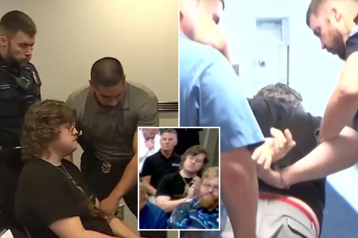 Kansas high school teacher dragged out, arrested for clapping at city meeting over proposed data center