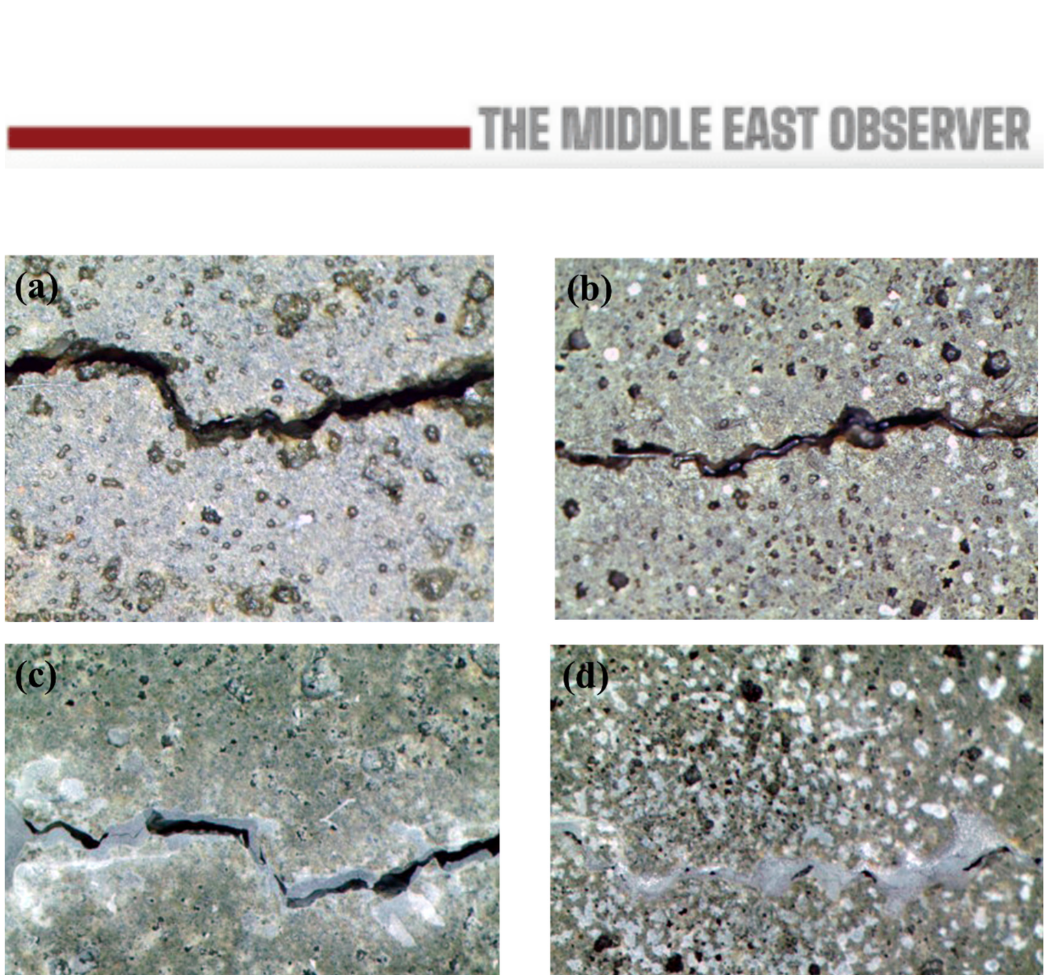 Can Self-Healing Concrete Cut the Middle East’s Infrastructure Bill?