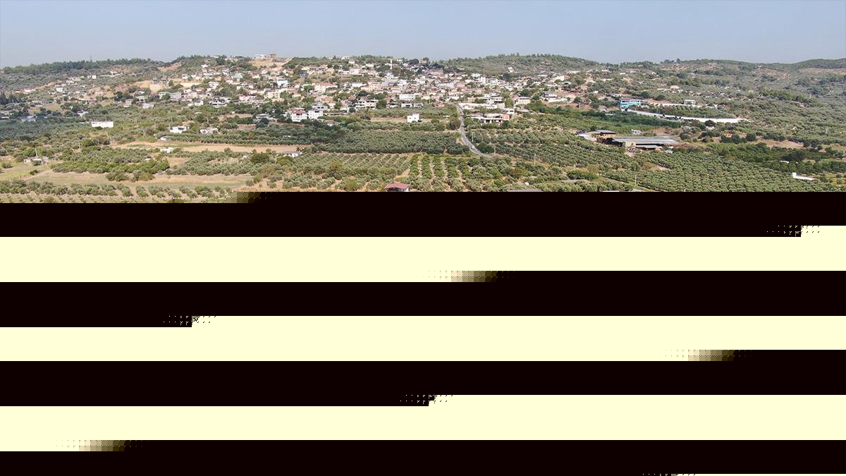 Dünya çapında üne sahip: Fiyatı 350 TL'ye çıktı, orayı çok sevdi