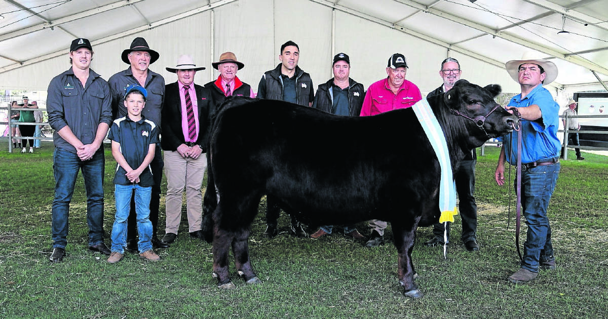 Black Dog Ride steer soars to new heights at the 2025 Perth Royal Show