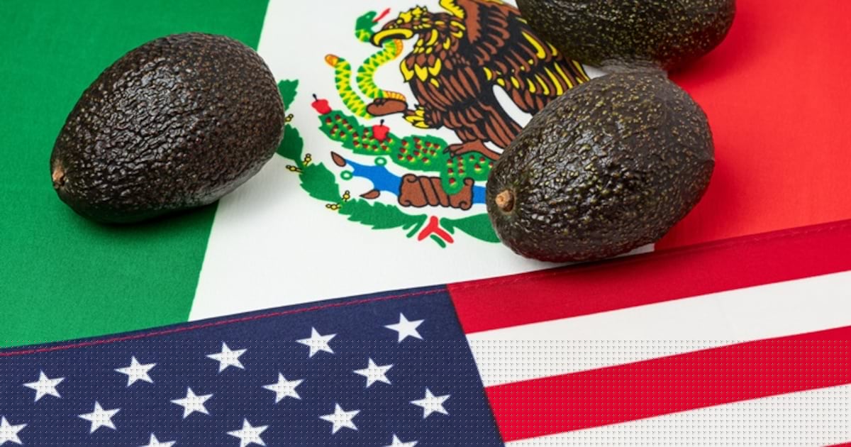 Tariffs on avocados? Mexico security concerns highlight US supply chain vulnerability