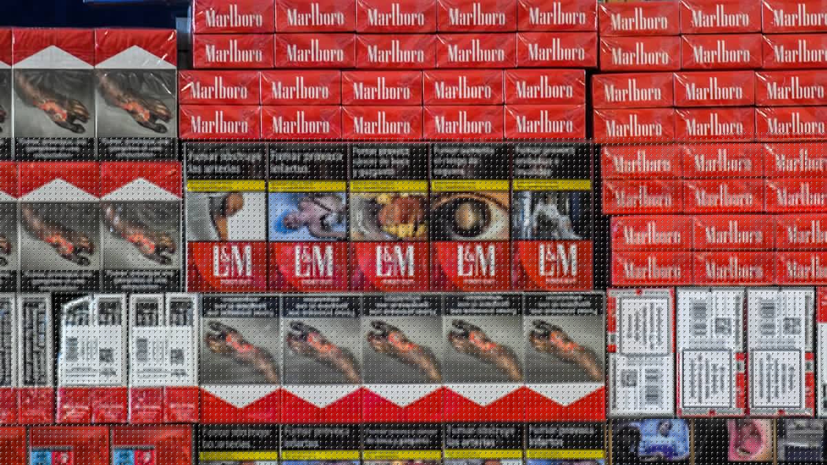 Un homme vient signaler le vol de son vélo : en remontant sa piste, les policiers découvrent 172 cartouches de cigarettes de contrebande dans un appartement à Toulouse