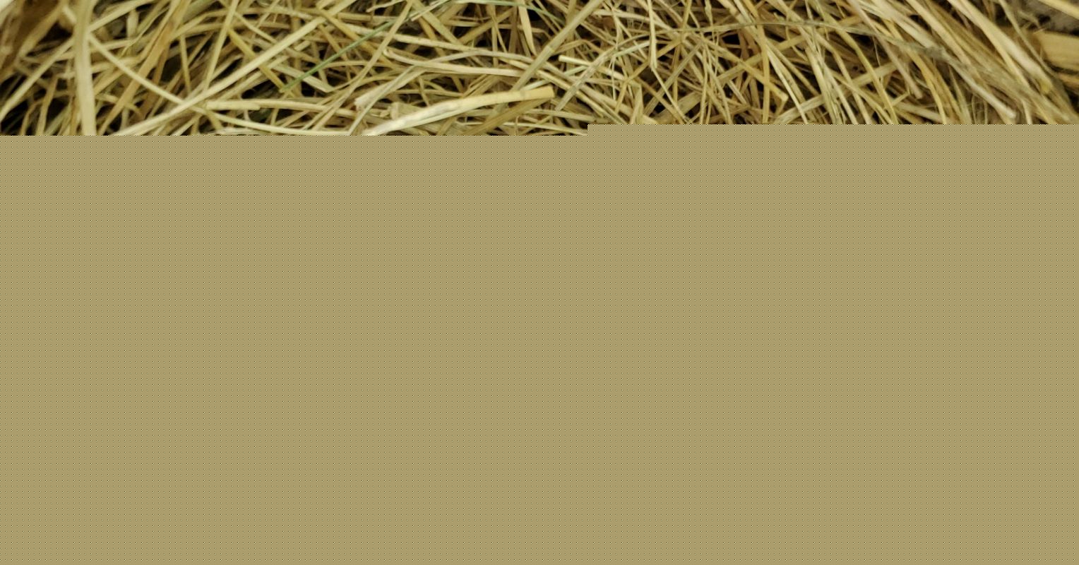 That Empty Nest May Be Fuller Than You Think
