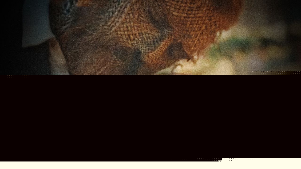 Nine Philosophical and Logistical Questions Raised by the ‘Wicker’ Trailer, Answered