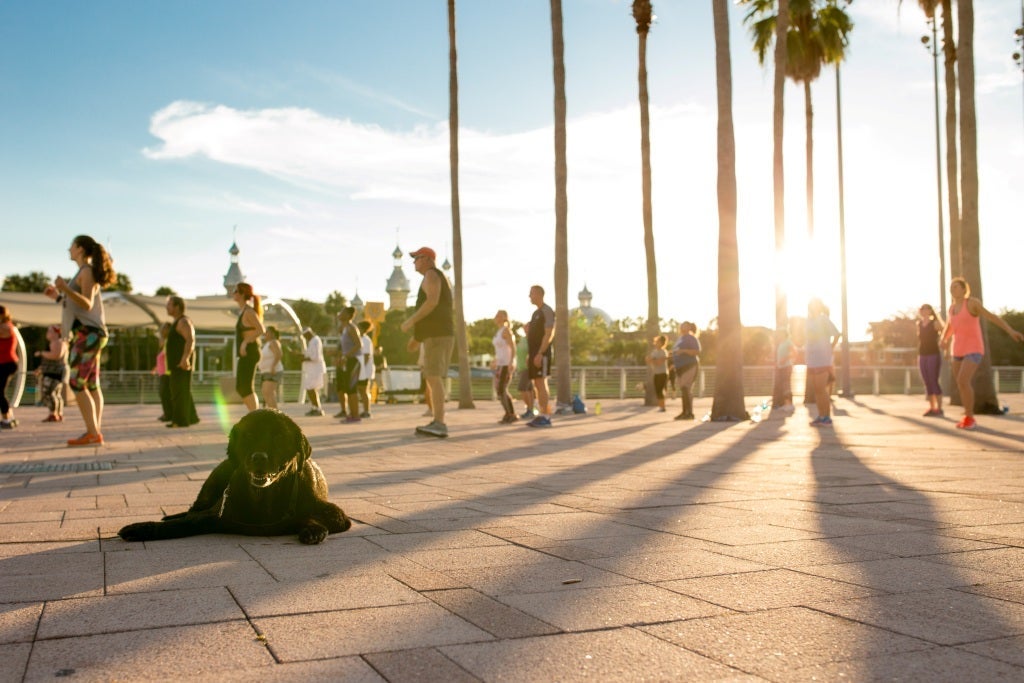 Things To Do in Tampa This Weekend: October 3-October 5