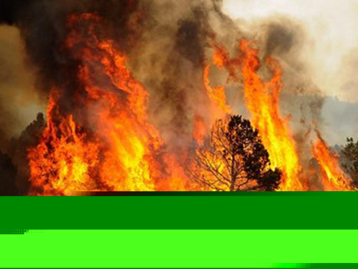 Here's How to Track Active Wildfires in Montana this Summer