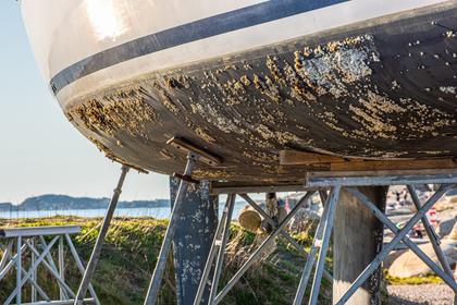 Hierarchical PDMS-PU nanocomposites offer non-toxic anti-fouling for marine applications