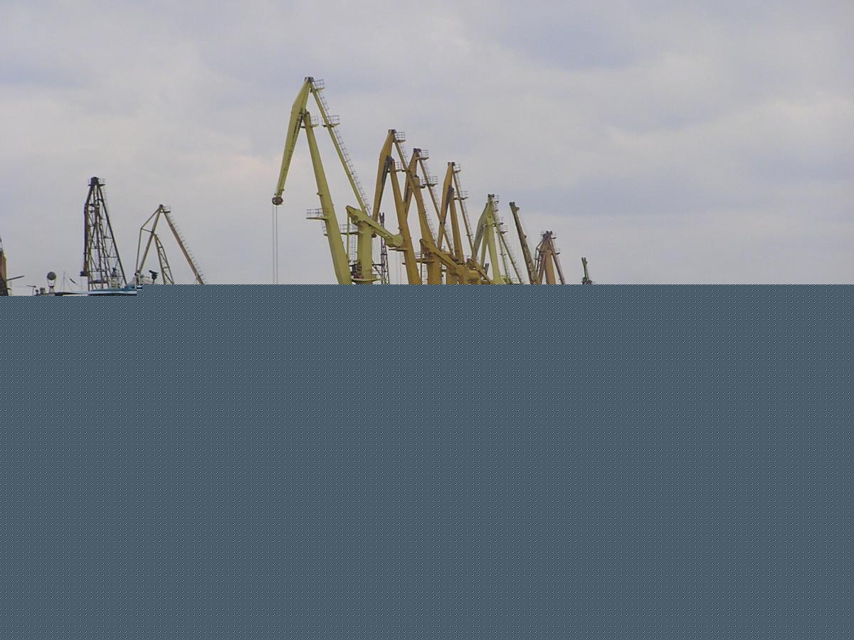 Over 1.5 Tons of Cocaine Found in Banana Shipment from Ecuador in St. Petersburg Port