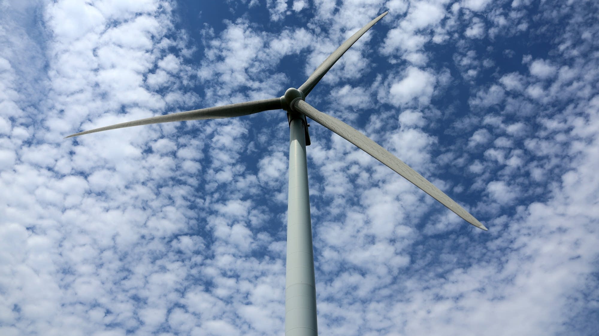 Trump administration cuts nearly $8B in clean energy projects in states that backed Harris