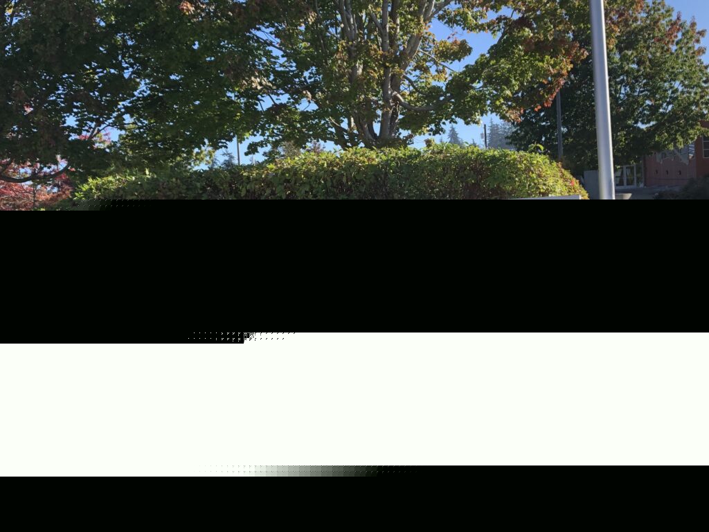Comment on Council to review tree code amendments, consider extending school zone speed cameras for 24/7 use by Deborah Arthur
