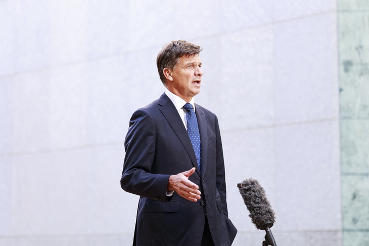 Angus Taylor to challenge Sussan Ley?