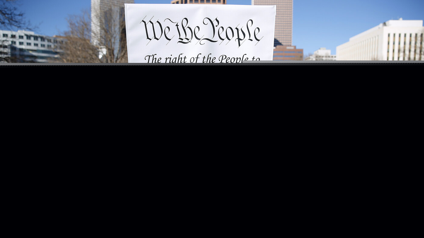 The Right to Bear Arms