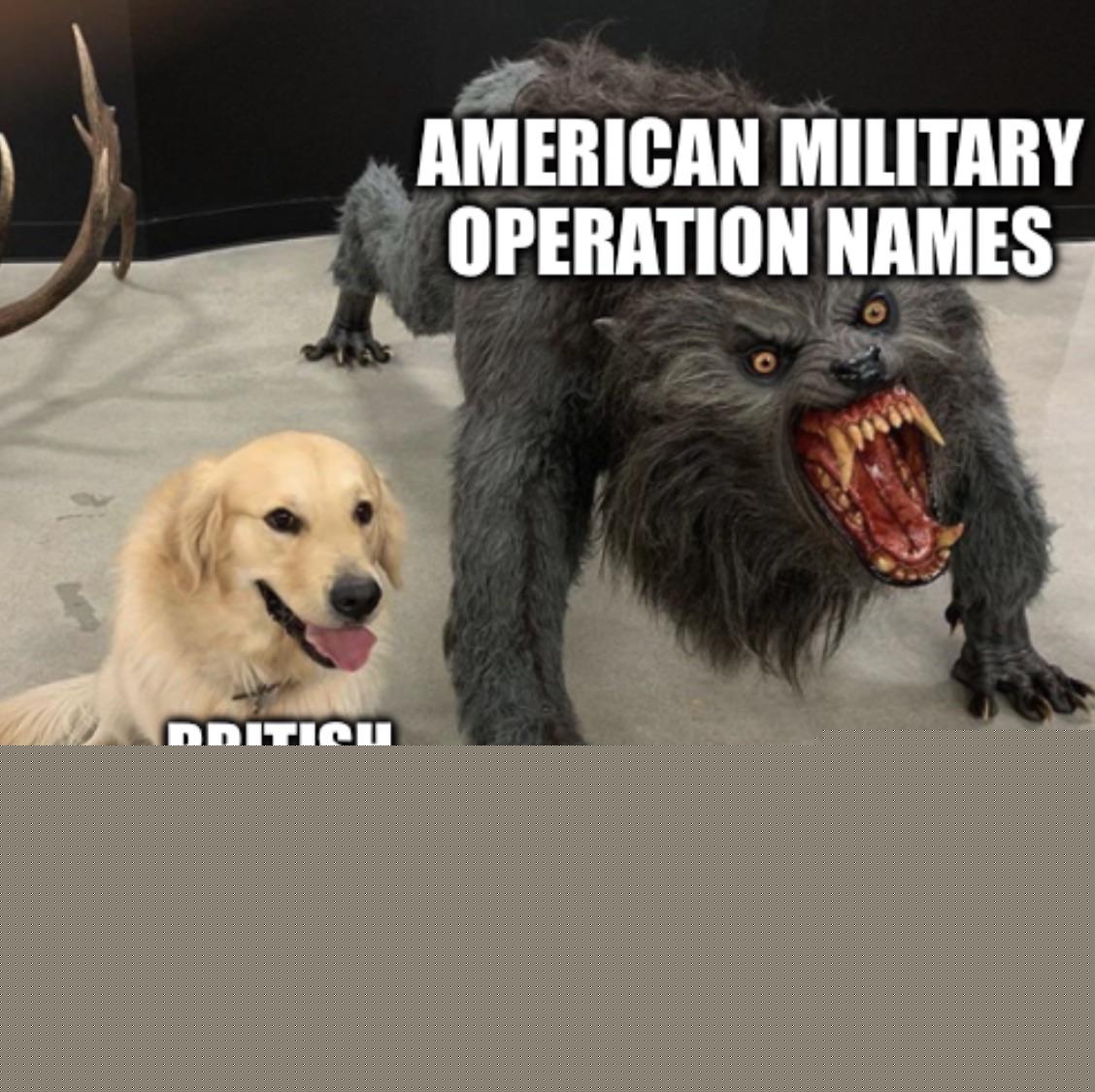History Memes - Operation Granby vs Operation Desert Storm | History Memes