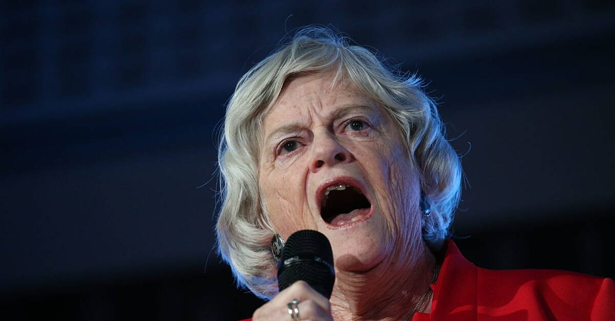 Police probing Widdecombe death reopen inquiry into ‘firebomb’ at Farage’s home