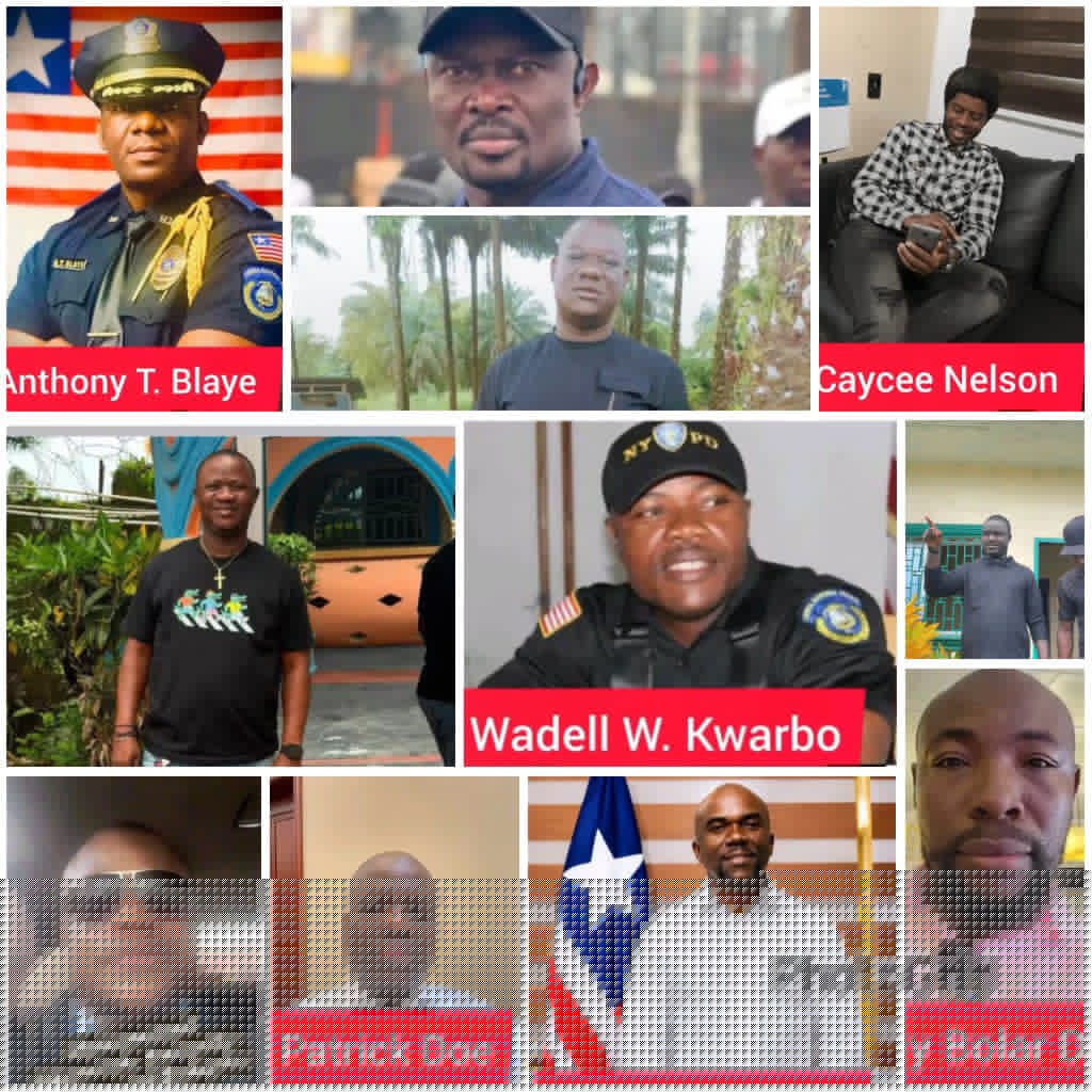 Liberia Seeks Global Support to Dismantle US$317M Drug Network