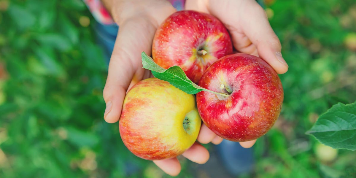 I Ate an Apple Every Day for a Week and Here’s What Happened to My Body
