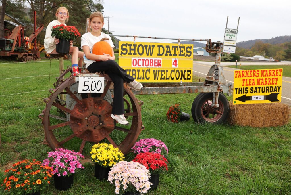 PORT ALLEGANY: AMEIA Fall Festival Saturday