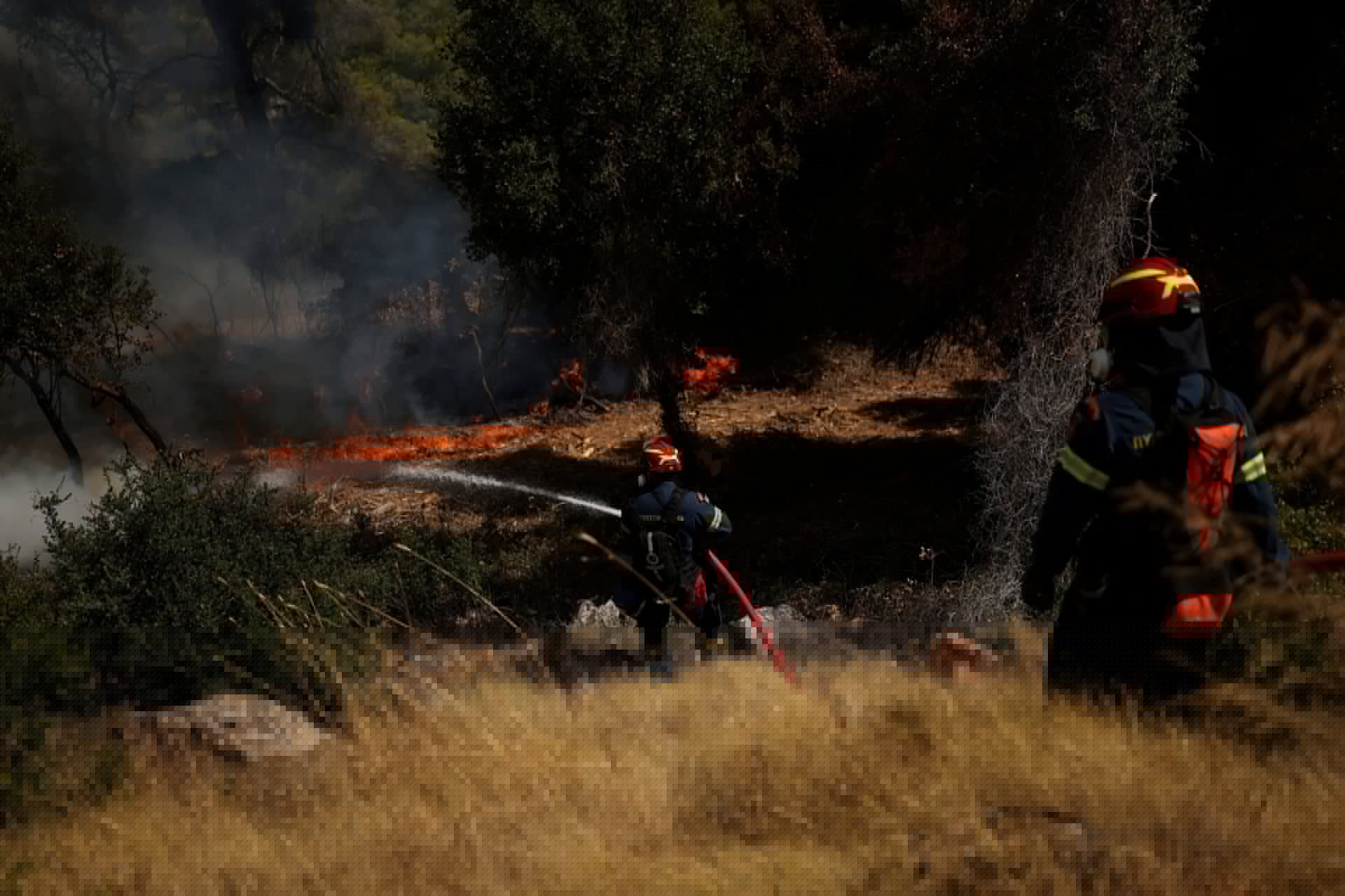 LIVE – Λερναία ύδρα τα πύρινα μέτωπα σε όλη την Ελλάδα: Αγρια δοκιμασία για Βοιωτία και Αργολίδα, απομακρύνουν άρον-άρον κατοίκους