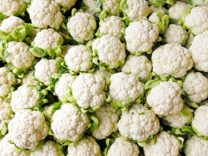 Gill Meller's recipe for wholesome and flavourful cauliflower cheese gratin