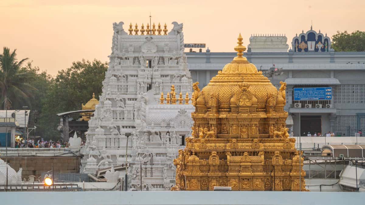 CBI finds no animal fat in Tirupati laddu, YSRCP demands apology from Naidu