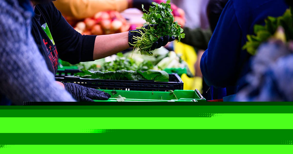 Illinois gives $400 one-time payments to thousands who lost SNAP benefits