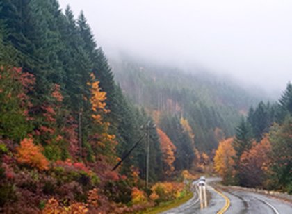 Province urged to invest in rural road safety