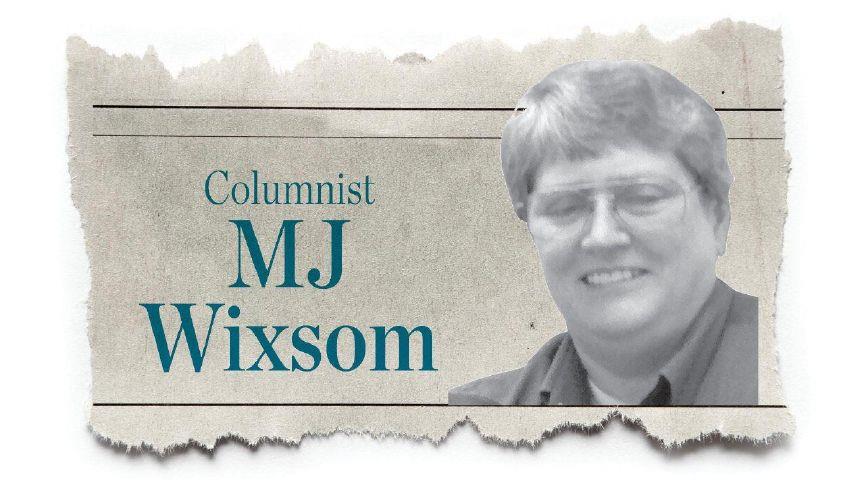MJ Wixsom: Summer can be tough on pets
