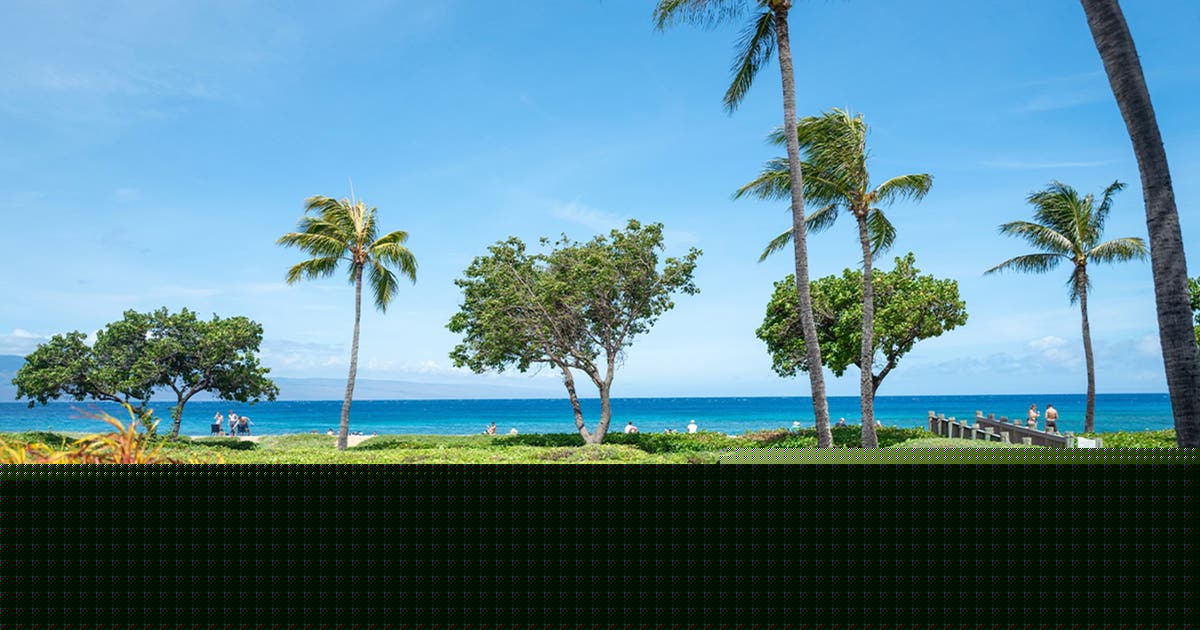 California family members claim they were attacked at luxury Maui resort during violent melee