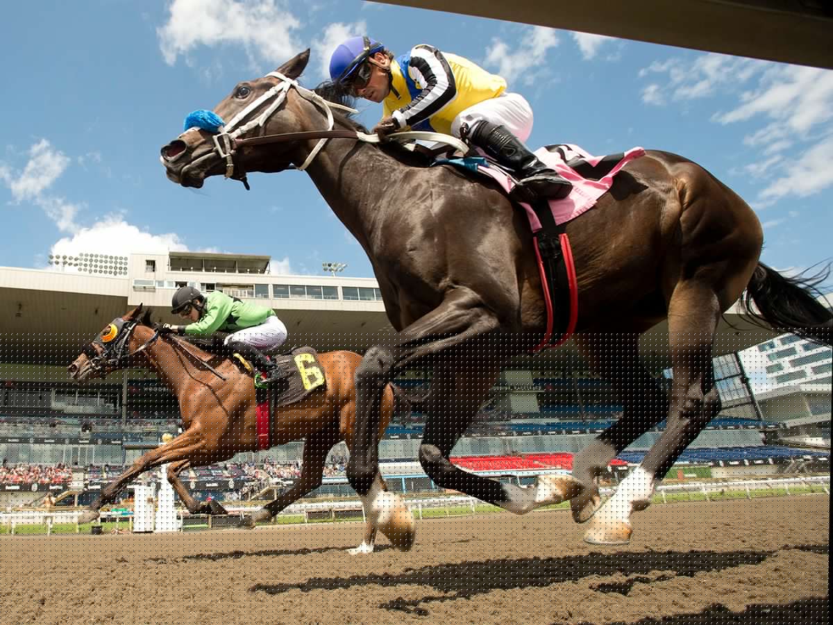 Scott Stinson: Ontario taxpayers plowing another $175 million into horse racing. When will it end?