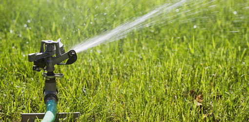 Cedar City Orders Halt To Outdoor Water Use