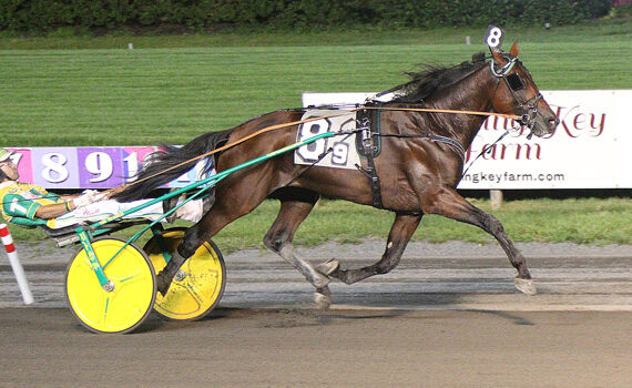Gillespie watches Hambletonian dream unfold