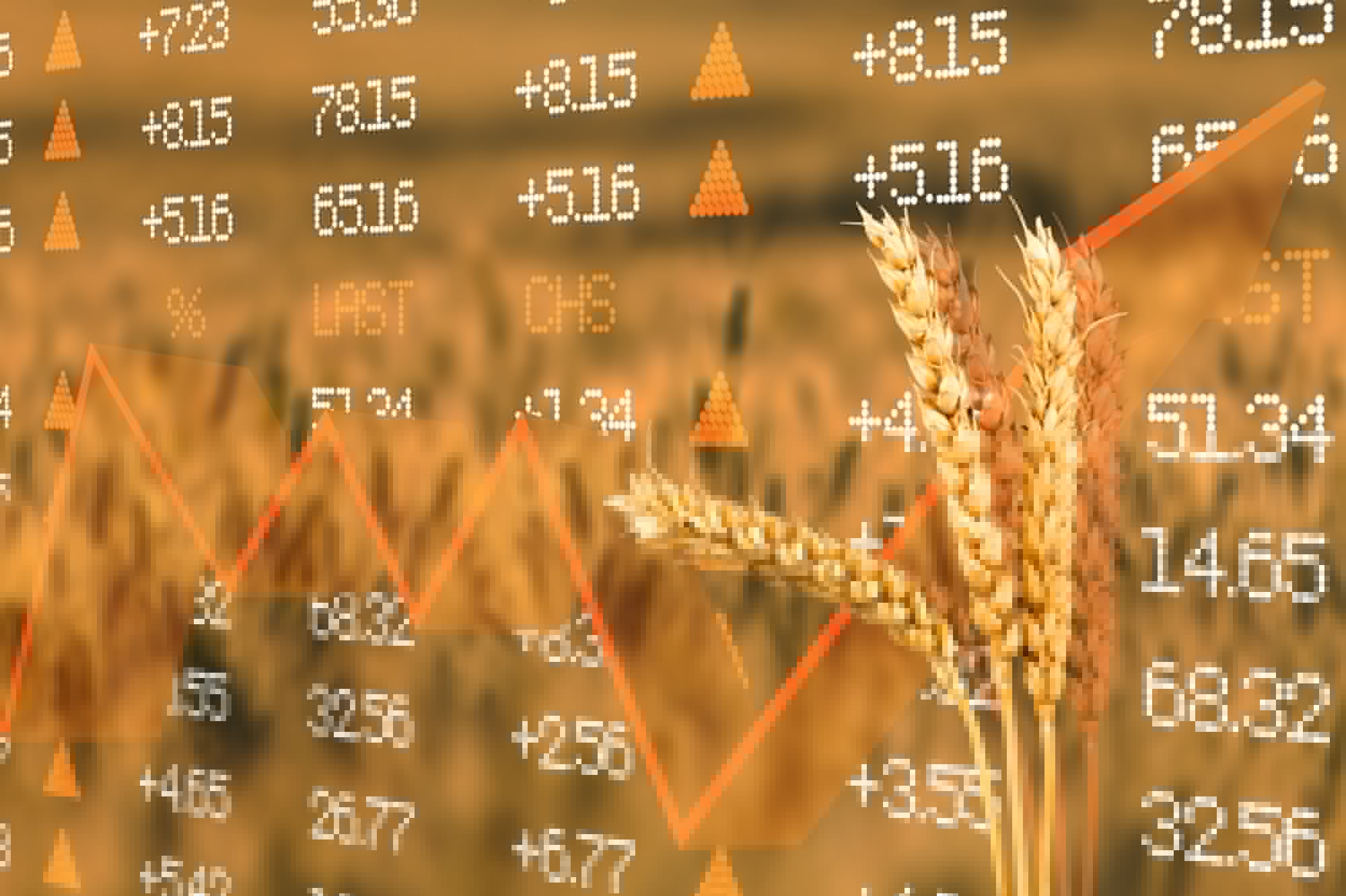 Commodity Report