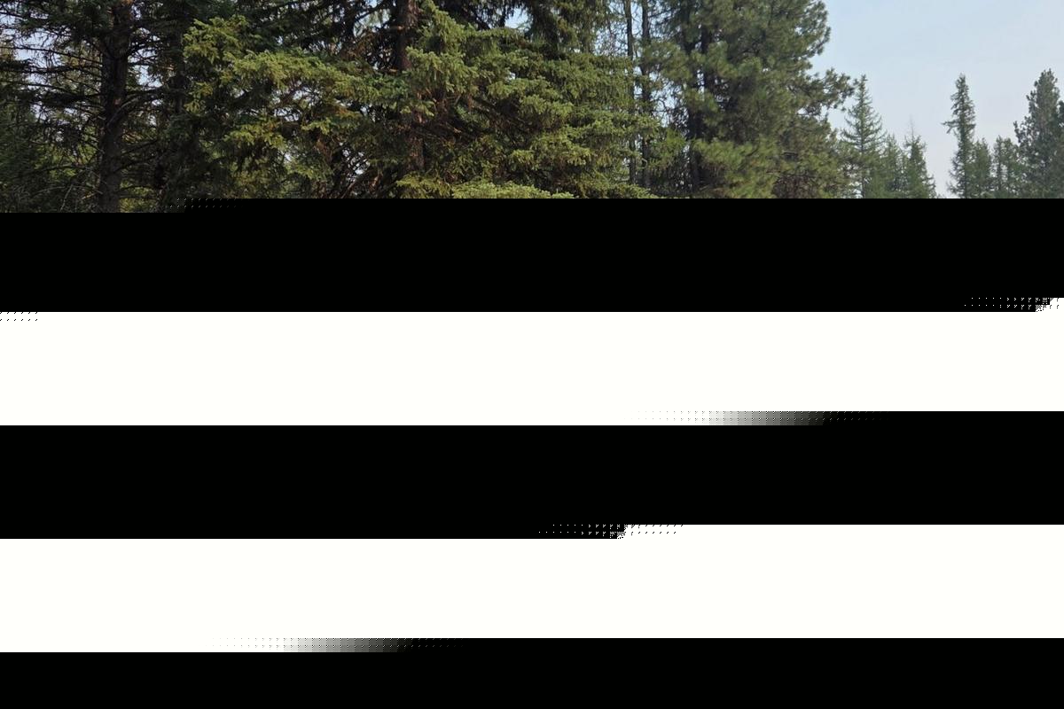 Search Ends with Happy Outcome as Missing Montana Hiker Is Found