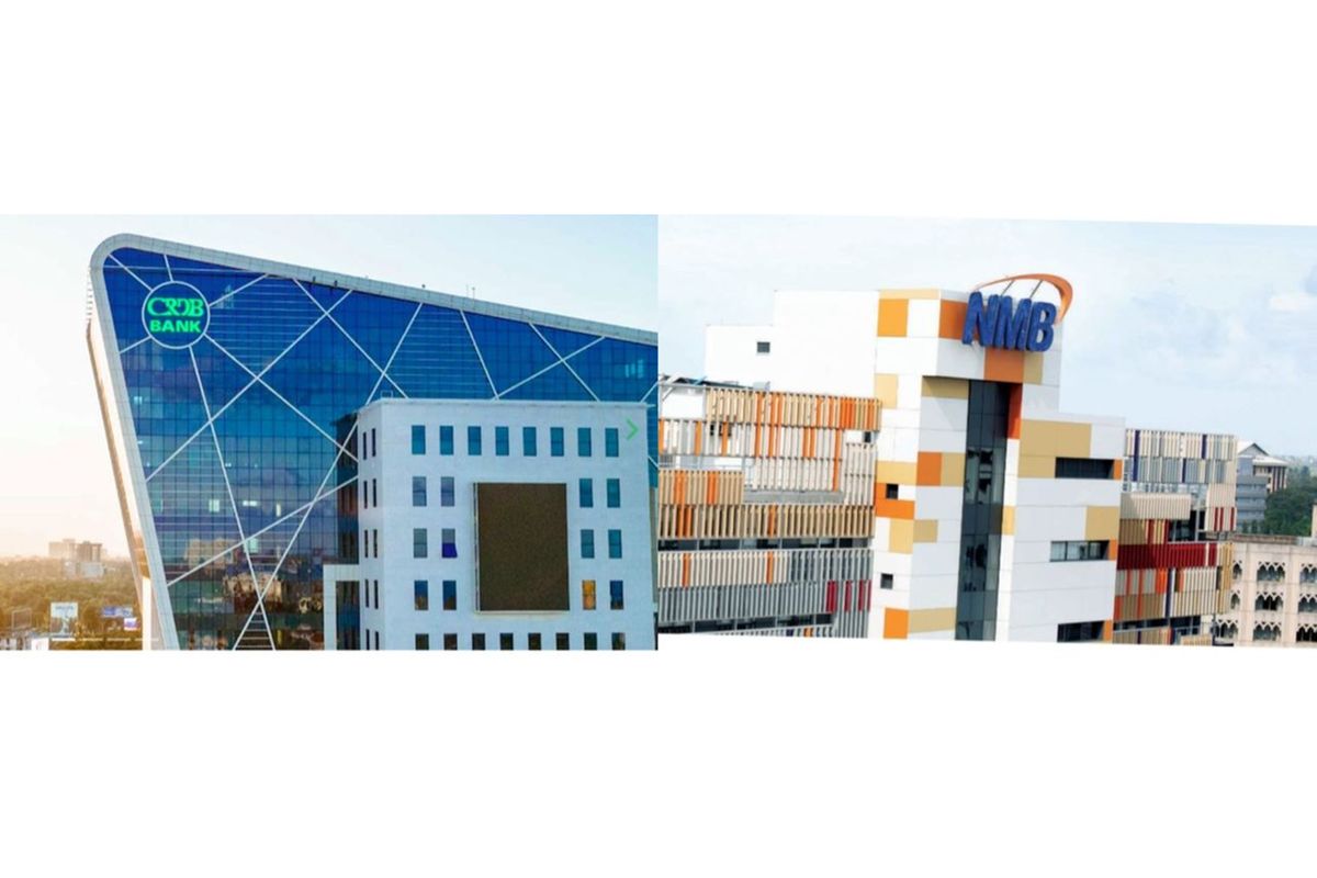What Tanzania’s over-reliance on two banks implies for economy