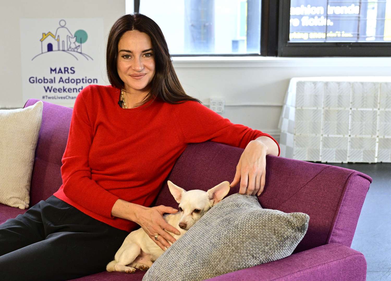Cuando la esperanza tiene cuatro patas: la importancia de la adopción animal