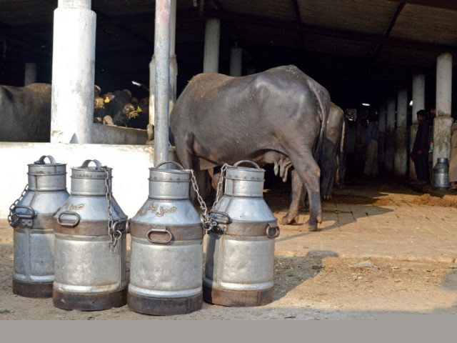 Nearly 2,000 litres of tainted milk destroyed