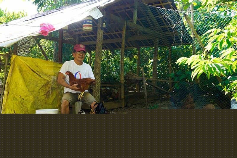 49% of Pinoy families produce part of their food at home – SWS