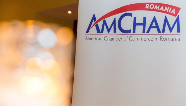 Fitch menţine ratingul României, dar AmCham avertizează: stabilitatea politică şi ritmul reformelor rămân testul nepromovat