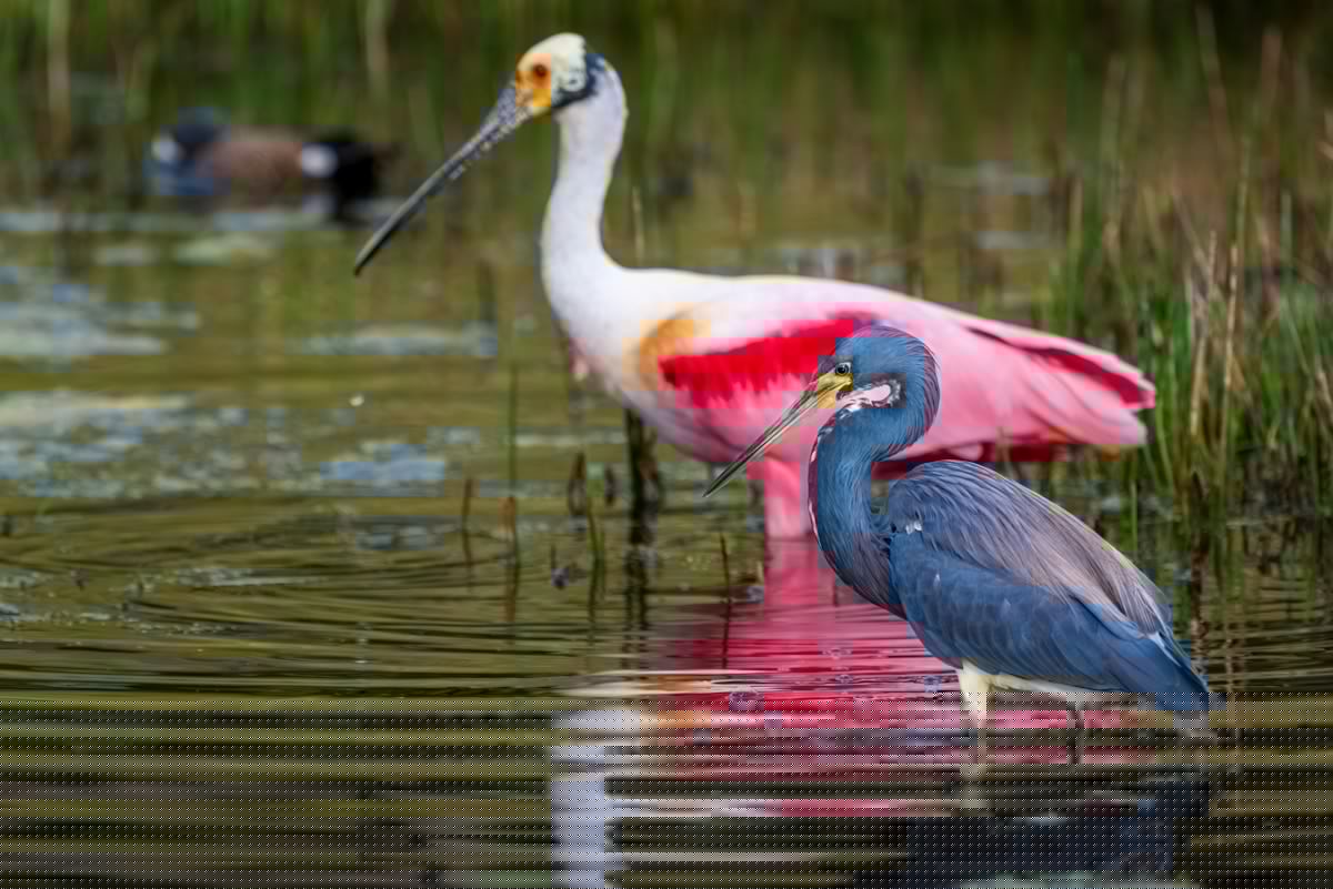 World falling short on its commitments to nature