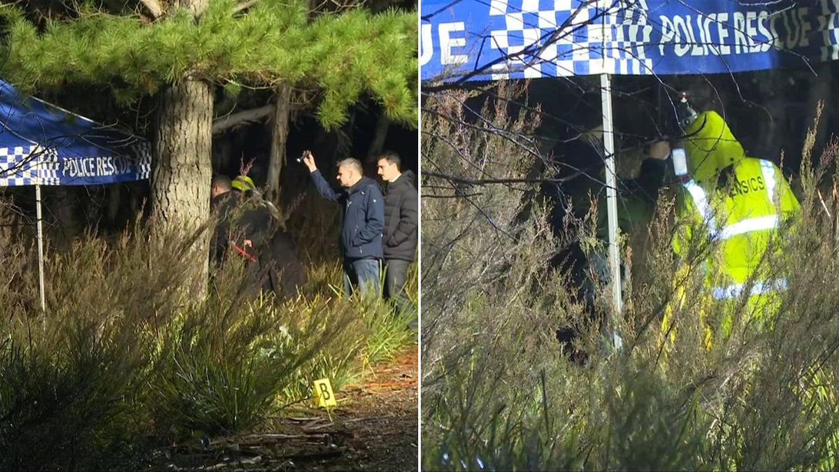 Twist as investigators confirm ‘body’ found in suitcase beside remote NSW road not human
