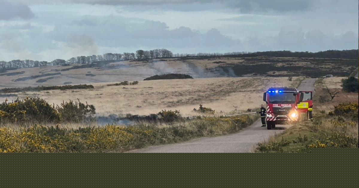 Rural fire crews stretched as Exmoor campaigner warns of growing risk