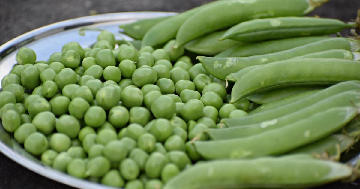 Hunts district council asks for feedback on weekly food waste collections