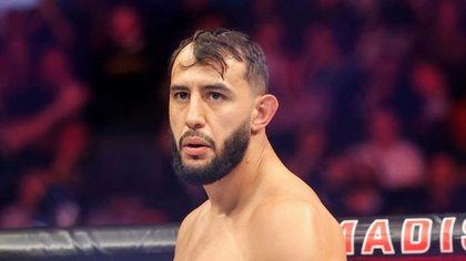 Dominick Reyes Siblings: Getting to Know Alex Reyes