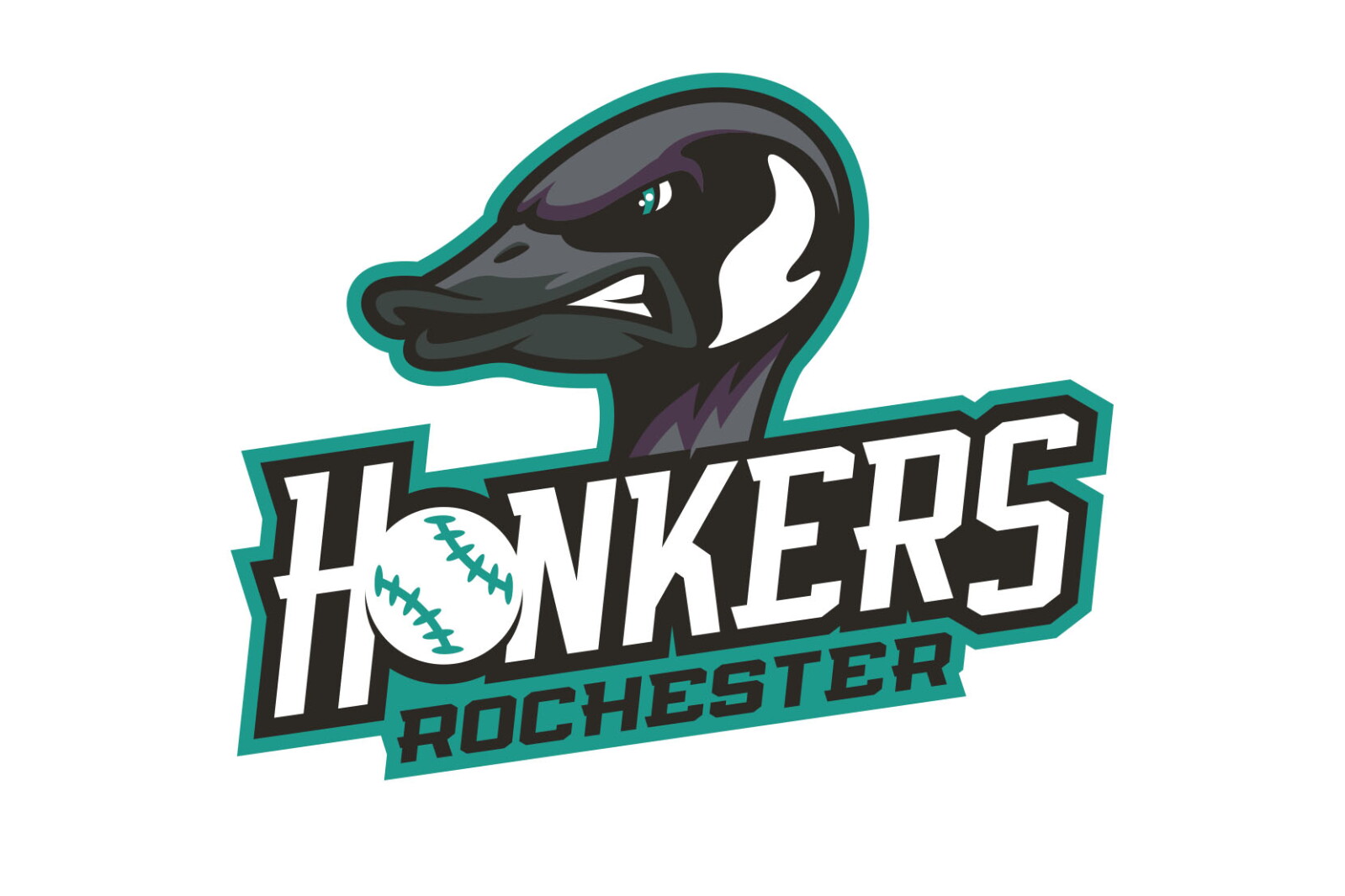 Honkers drop eighth consecutive game in loss to Thunder Bay