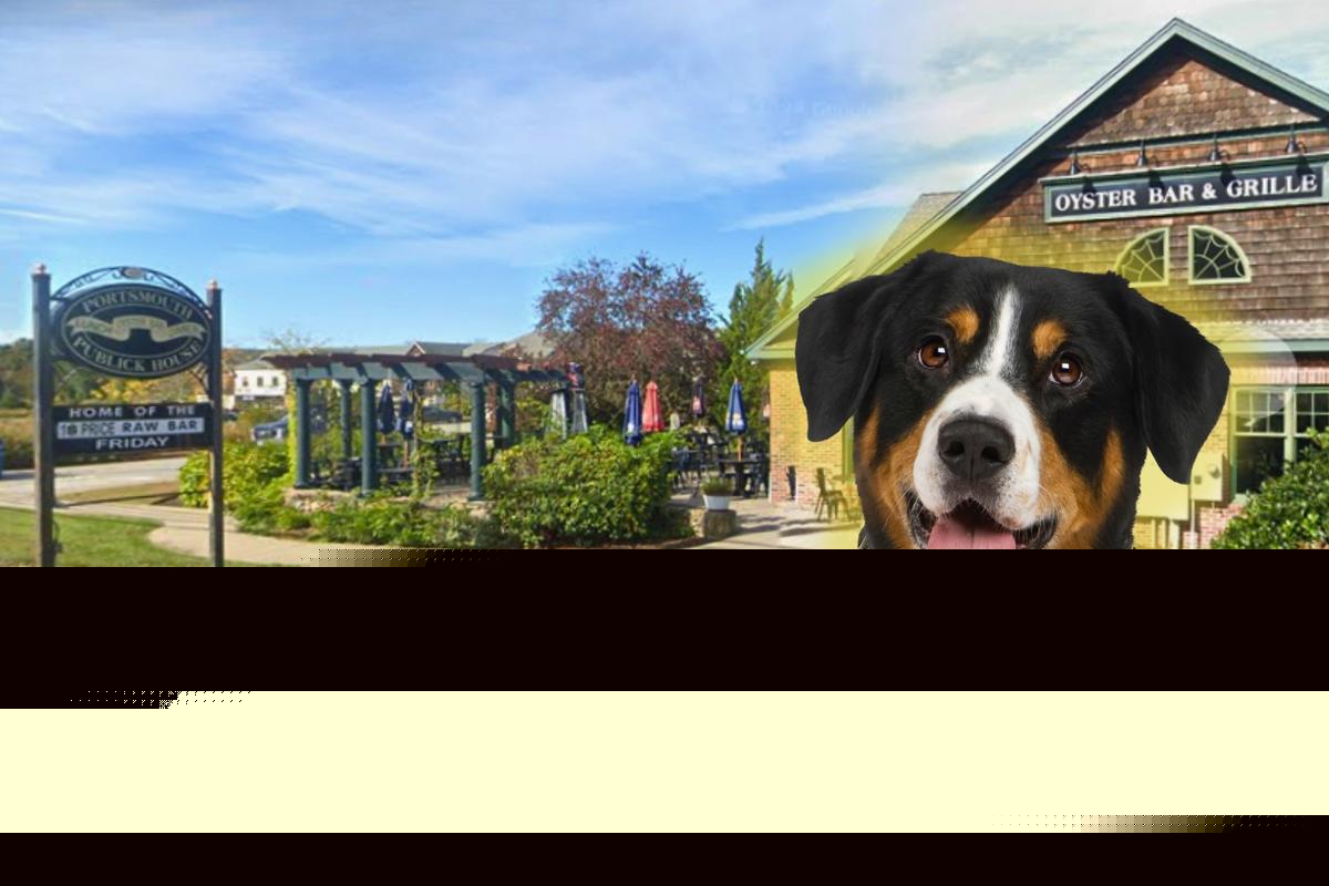 This Rhode Island Spot Treats Dogs Like VIPs