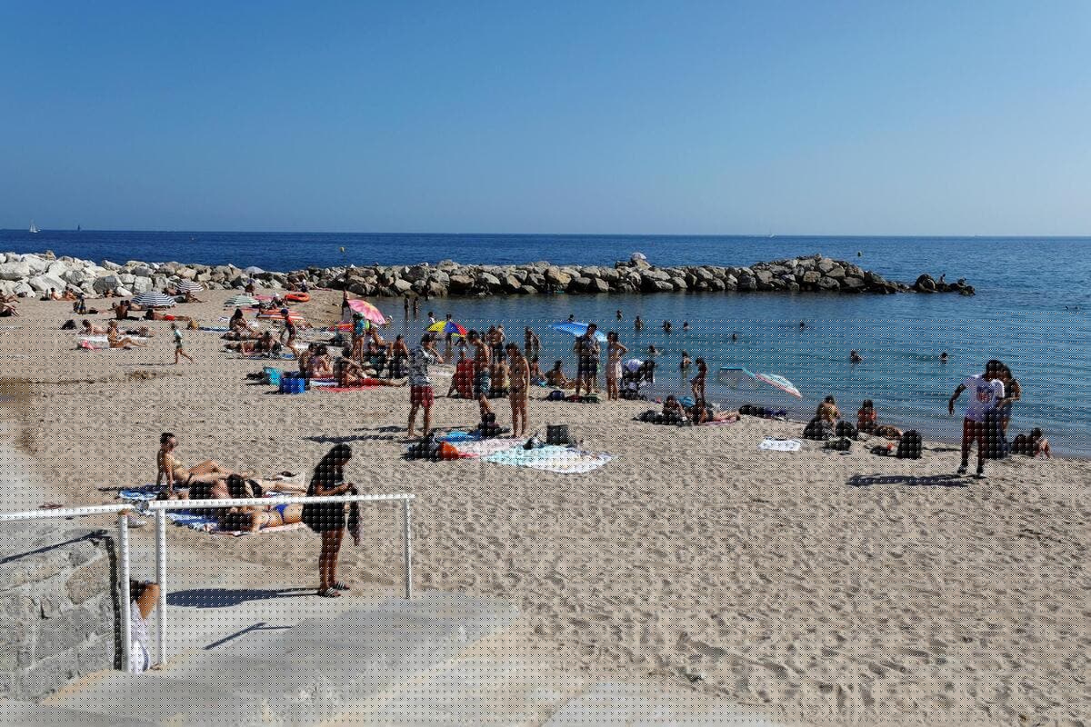 « Quand je suis sorti de l’eau, j’ai vu du sang partout » : à Cannes, un nonagénaire raconte comment il a été attaqué par des poissons lors de sa baignade
