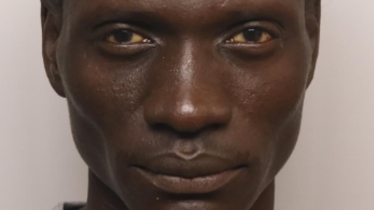South Sudanese asylum seeker jailed after turning up outside school with arsenal of weapons and petrol can, aiming to 'start a fire'