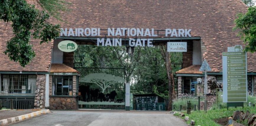 High Court Suspends New KWS Park Charges Over Short Notice Complaints