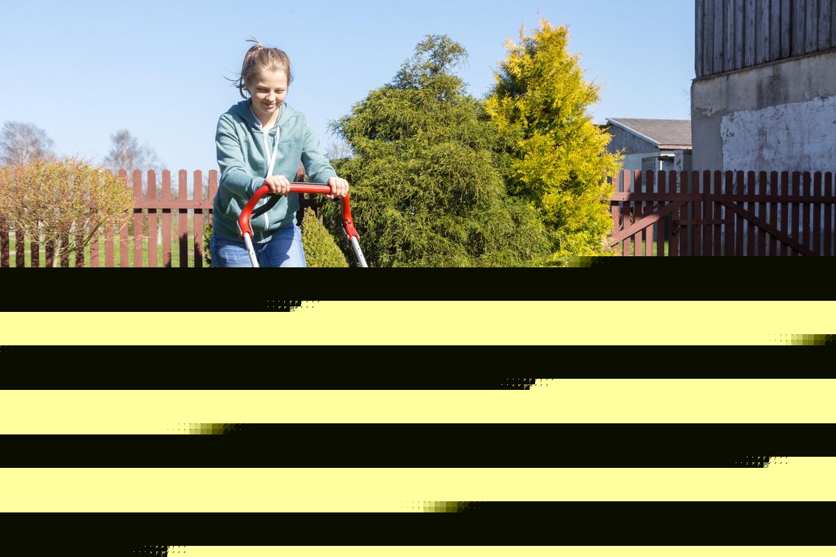 $1,000 Fine for Breaking Minnesota Mowing Laws